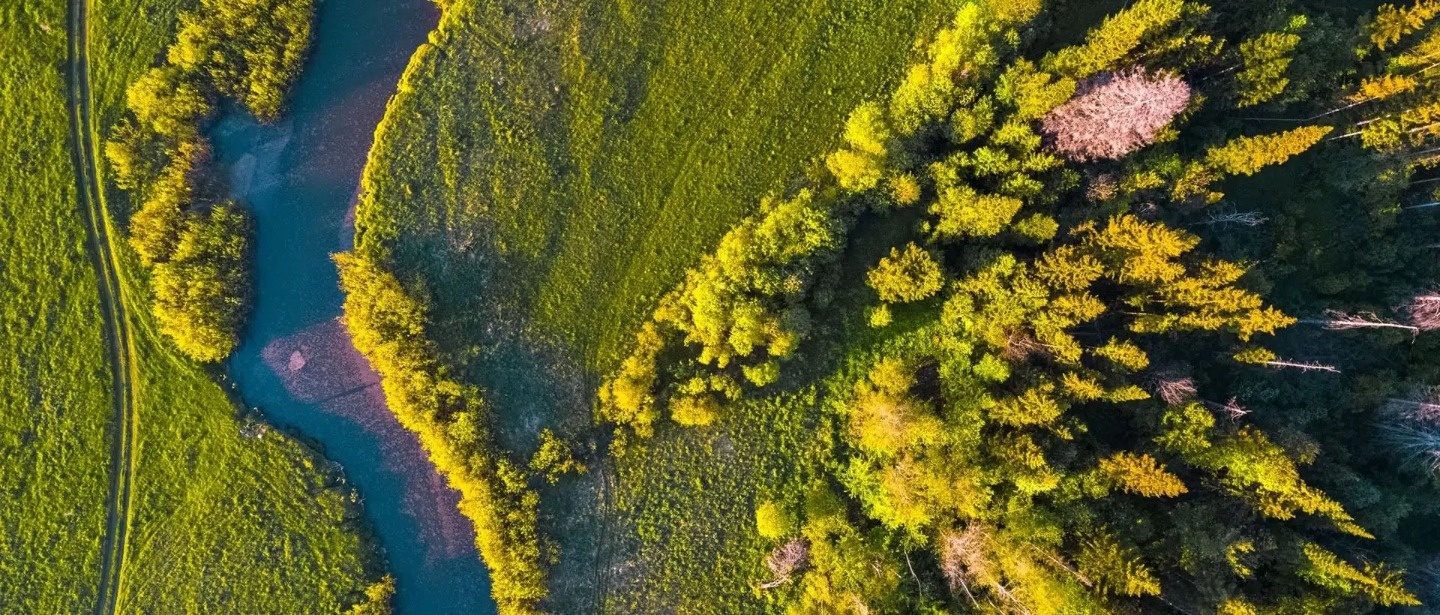 Как бесплатно получить землю под строительство дома от государства